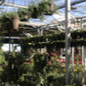 Meet your Posher, Aleyah